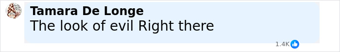 Comment by Tamara De Longe stating the look of evil, reflecting reactions to unsealed documents after Bryan Kohberger's crime details. - 29