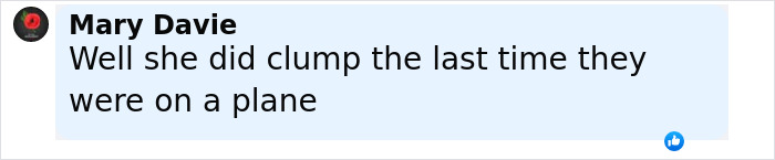 Comment by Mary Davie on social media discussing Brigitte Macron's cold behavior towards husband during UK visit.