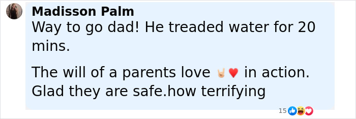Comment praising a dad&rsquo;s effort treading water for 20 minutes to save girl after horrifying fall from Disney cruise ship.