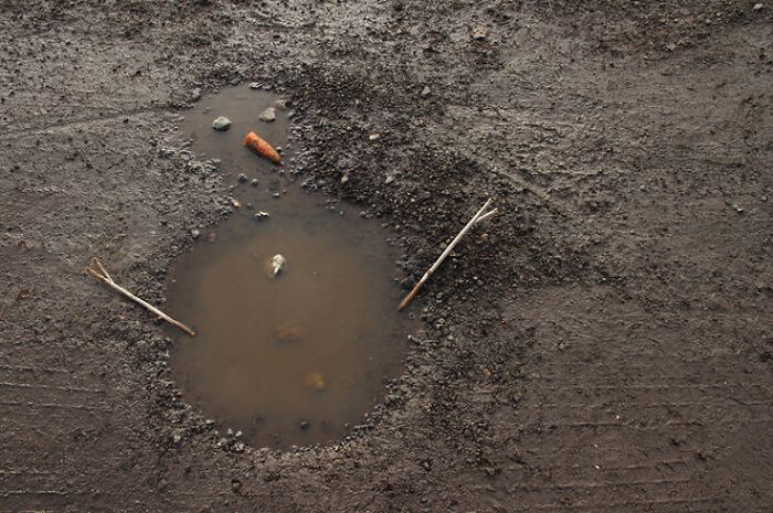 Puddle with sticks and trash arranged to resemble a snowman, combining trash and culture in a chaotic way.