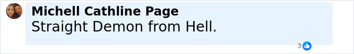 Comment from Michell Cathline Page stating Straight Demon from Hell on a social media post about Bryan Kohberger crime details. - 18