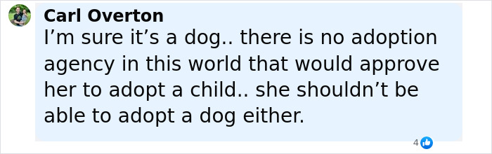 Comment by Carl Overton questioning the legitimacy of Britney Spears adopting a baby girl, doubting adoption agency approval.