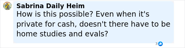 Comment expressing concern about the adoption process and home studies after Britney Spears sparks frenzy adopting a baby girl.