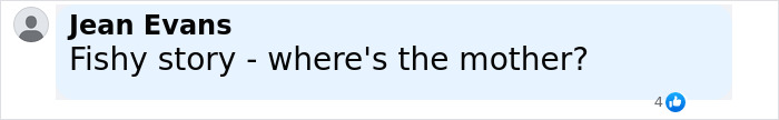User comment on social media questioning details in a missing 9-year-old girl case with police noting inconsistencies in dad&rsquo;s report.