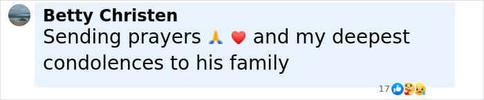 Comment expressing condolences for Olympic medalist skier who lost life after lightning strike, with prayer and heart emojis. - 30