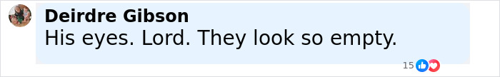 Screenshot of social media comment by Deirdre Gibson expressing that a suspect's eyes look empty in Devil's Den case. - 17