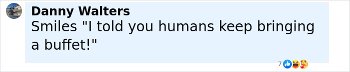 Comment by Danny Walters saying humans keep bringing a buffet, related to scientists dropping cow 1629 meters deep into sea study.