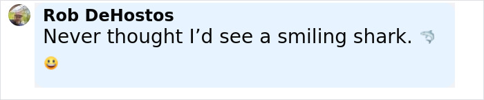 Comment by Rob DeHostos saying he never thought he&rsquo;d see a smiling shark with shark and smiling emoji included.