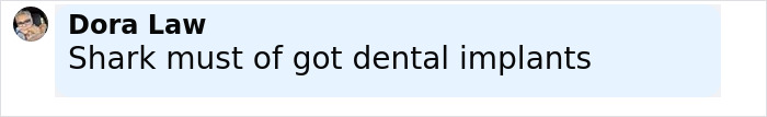 Comment text on a light blue background saying shark must of got dental implants posted by Dora Law.