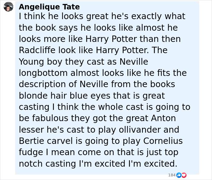 Fan discussion about Harry Potter fans divided over major detail change in HBO's upcoming show casting choices.
