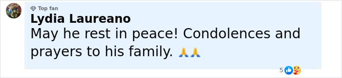 Comment expressing condolences and prayers for actor Michael Madsen from a top fan Lydia Laureano.