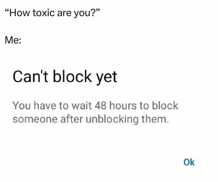 Screenshot of a relatable meme about not being able to block someone immediately due to a 48-hour waiting period.
