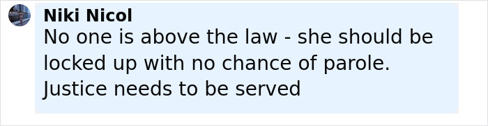 Comment expressing that the family of babysitter fatally hit by Lufthansa CEO's wife is destroyed and calls for justice and no parole.