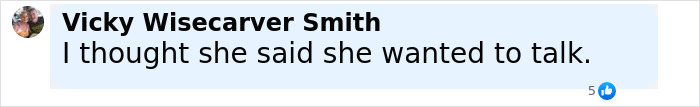 Comment by Vicky Wisecarver Smith in a social media post discussing Ghislaine Maxwell's family and Epstein case closure. Comment by Vicky Wisecarver Smith in a social media post discussing Ghislaine Maxwell's family and Epstein case closure.