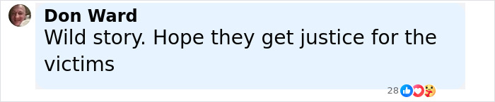 Comment by Don Ward expressing hope for justice for the victims in epic police fail case involving American Idol exec and husband. - 14