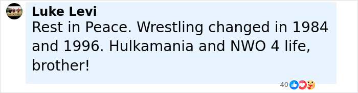 Comment on social media about Hulk Hogan's press conference discussing pro wrestler's final moments and 911 call.