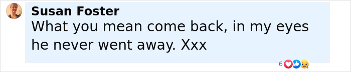 User comment by Susan Foster expressing support for Johnny Depp, saying he never went away, related to Fantastic Beasts casting news.