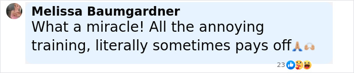 Social media comment reacting to a girl's horrifying fall from a Disney cruise ship and the ensuing blame game.