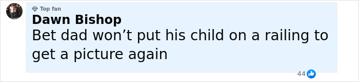 Comment from Dawn Bishop criticizing a dad for risking his child's safety on a railing during a Disney cruise.