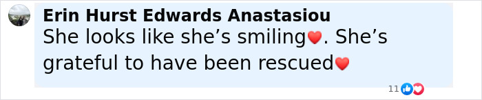 Baby beaver with a grateful smile after being rescued by a wildlife center, melting hearts with its expression.