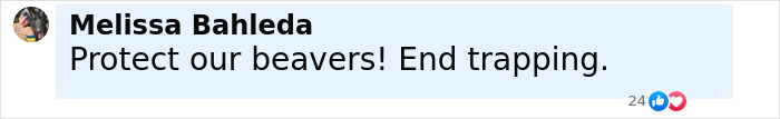 Comment by Melissa Bahleda expressing support for beaver protection and ending trapping, viewed on social media.