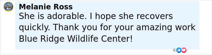 Comment praising a baby beaver rescued by a wildlife center, expressing hope for a quick recovery and gratitude for the care given.