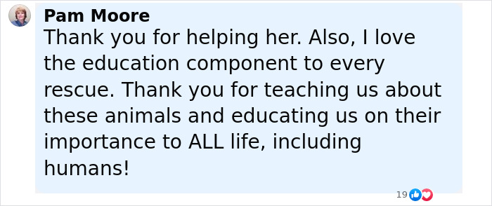 Baby beaver with a grateful smile after being rescued by a wildlife center, melting hearts with its charm.