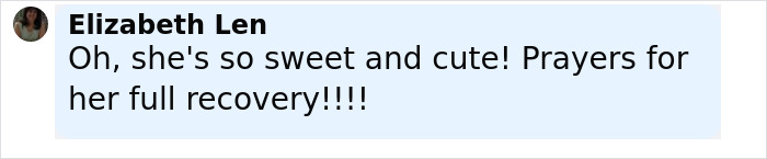 Comment from Elizabeth Len expressing admiration for a sweet and cute baby beaver with prayers for full recovery.