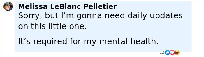 Comment from Melissa LeBlanc Pelletier expressing a need for daily updates on a baby beaver rescued by a wildlife center.