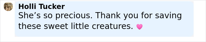 Comment saying she&rsquo;s precious and thanking for saving sweet little creatures with a pink heart emoji.