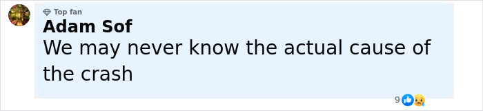 Comment from user Adam Sof expressing uncertainty about the cause of the Air India pilot&rsquo;s crash.