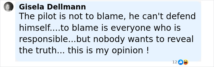 Comment from Gisela Dellmann expressing opinion on Air India pilot&rsquo;s final words and personal turmoil after crash.