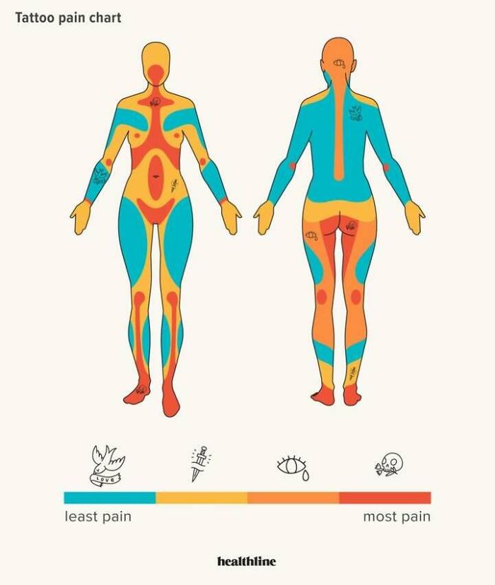 Infographic showing tattoo pain levels on different body parts with color-coded areas from least to most pain.