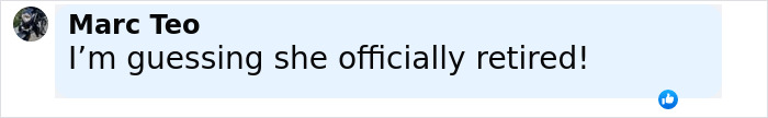 Comment by Marc Teo saying he's guessing she officially retired, shown in a light blue chat bubble.