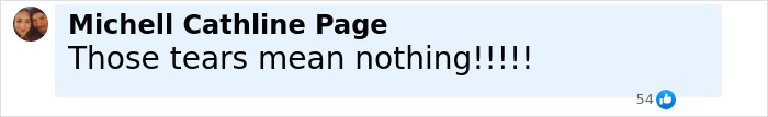 Screenshot of a social media comment reading Those tears mean nothing, related to case of baby lost in car while mom got lip filler. - 21