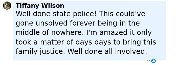 Comment from Tiffany Wilson praising state police for solving Devil's Den case of couple brutally slain while hiking with daughters. - 11