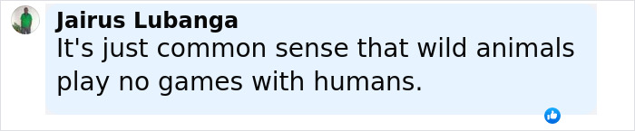 Comment by Jairus Lubanga stating that wild animals play no games with humans, emphasizing common sense and caution.