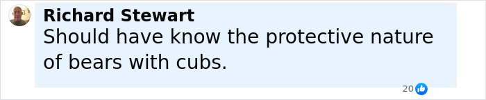 Comment by Richard Stewart about the protective nature of bears with cubs after tourist ignored warnings near a bear cub.