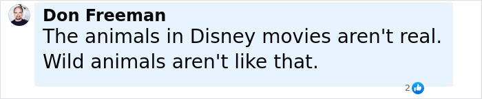 Comment by Don Freeman stating animals in Disney movies aren't real and wild animals behave differently, emphasizing wildlife caution.