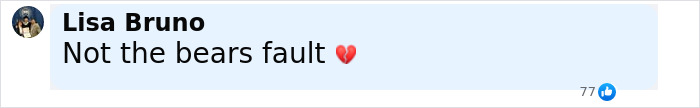 Comment on social media by Lisa Bruno saying Not the bears fault with a broken heart emoji, related to bear drags tourist off cliff incident.