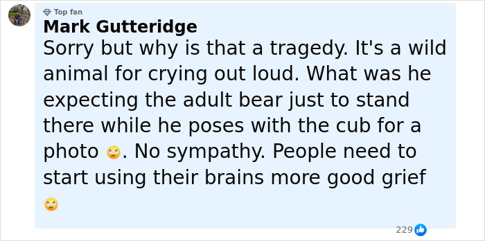 Comment criticizing a tourist for ignoring warnings and provoking a bear while trying to take a selfie with its cub.