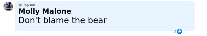 Comment on social media by user Molly Malone criticizing a tourist&rsquo;s actions near a bear cub, related to bear dragging incident.