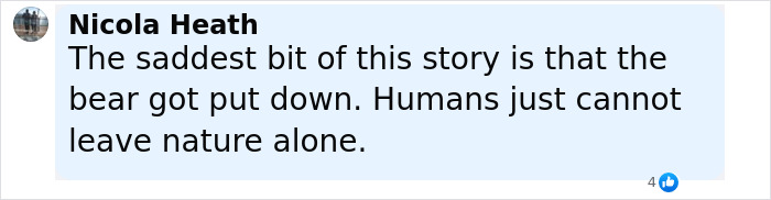 Comment about a bear dragging a tourist after ignoring warnings to take a selfie with a cub, highlighting human impact on nature.