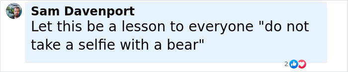 Comment warning against taking a selfie with a bear, referencing a bear dragging a tourist off cliff incident.