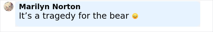 Comment text by Marilyn Norton expressing sadness about a bear tragedy with a sad emoji.