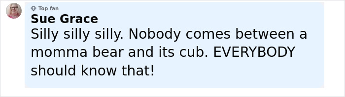 Comment from a top fan warning that nobody should come between a mother bear and her cub for safety reasons.