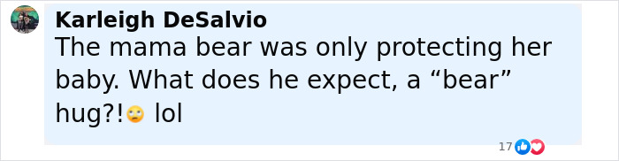 Comment about a mama bear protecting her baby after a tourist ignores warnings to approach the bear cub for a selfie.
