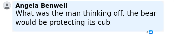 Comment by Angela Benwell expressing concern about a tourist ignoring bear warnings and risking safety near cub.