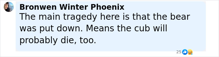 Comment discussing the tragedy of a bear being put down and the cub likely dying after a tourist ignored warnings to snap a selfie.