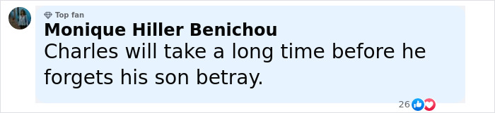 Comment by a top fan Monique Hiller Benichou criticizing King Charles for betraying his son, related to Windsor Castle speech. Comment by a top fan Monique Hiller Benichou criticizing King Charles for betraying his son, related to Windsor Castle speech.